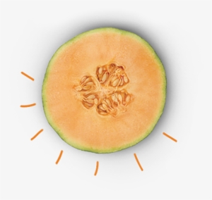 Cantaloupe - Honeydew #795013