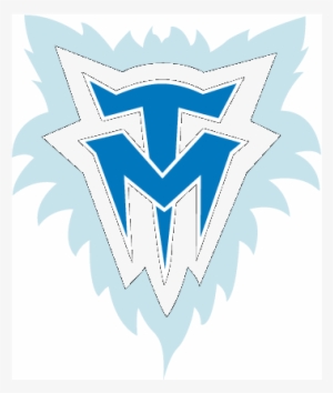 Minnesota Timberwolves - Manteca Jr Timberwolves #795044
