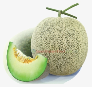 Muskmelon #795145