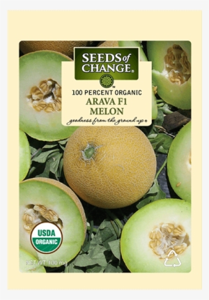 Organic Arava F-1 Melon Seeds - Seeds Of Change 21076 Organic Zesty Cln Quinoa Blend #795228