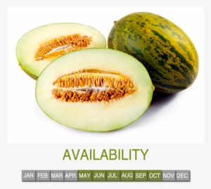 Request Information - Piel De Sapo #795359