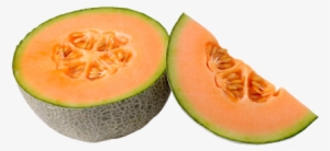 How To Store - Can Dogs Eat Melon #795609
