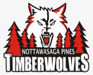 Picture - Nottawasaga Pines Secondary School Logo #795631