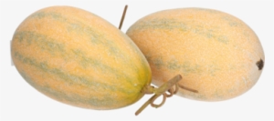 Outlet - Gourd #795655