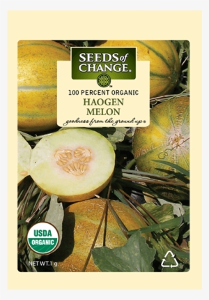 Organic Haogen Melon Seeds - Seeds Of Change 06069 Certified Organic Dill #795682