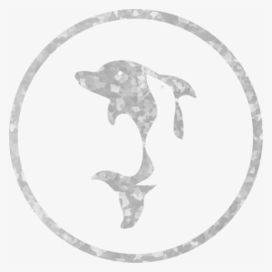 Dolphins And Sea Lions - Icon Adventures Tours #796277