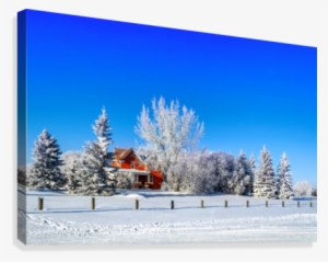 Red House Surrounded By White Trees And Snow On Blue - Canvas Print #796605
