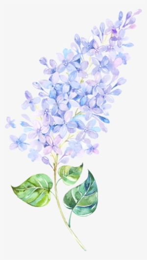 Pin By Carmen Dungan #797690