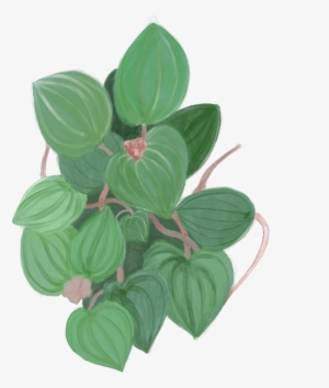 Green Leaves #797958 Green Leaves #797958