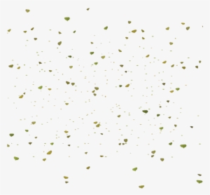 Go To Image - Leaf #798020