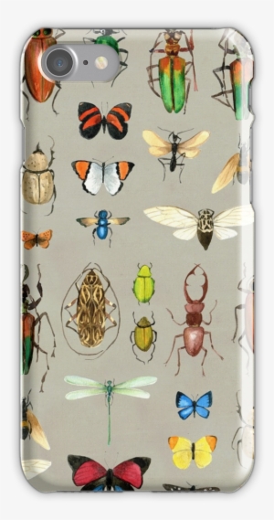 The Usual Suspects - Design #798114