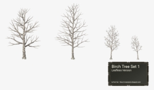 [ Img] - Leafless Birch Tree #798718
