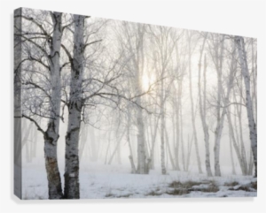 Ontario, Canada #799158