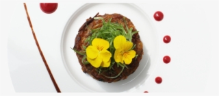 Panel1ab-1140x450 - Dish #7900111