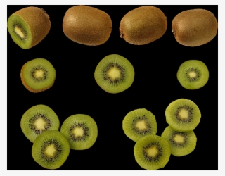 Kiwifruit #7900667