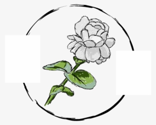 This Is Not Egalitarianism, Though It May Seem Such - Brooke Davis #7900788