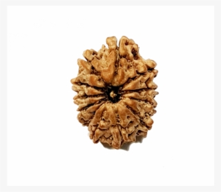 12 Mukhi Nepali (lord Surya) - Artificial Flower #7901451