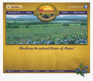 Copyright 2017 Maine Natural Fruit, Llc - Grass #7901663