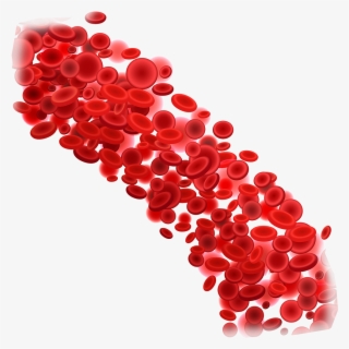 Blood Donation Download Png Image - Red Blood Cell Png #7902171