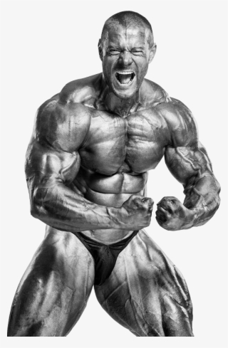 Bodybuilding #7902837 Bodybuilding #7902837