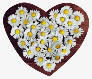 Flower Png Heart Transparent - Flower Images For Whatsapp Profile #7903406