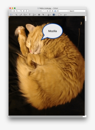 Speechbubble - Cat Yawns #7904405