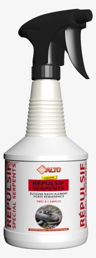 19 Apr 2018 - Carpenter Ant #7905178