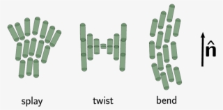 Splay, Twist And Bend Deformations Of The Nematic Directorˆndirectorˆ - Illustration #7906891