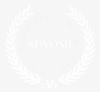 Into Our Daily Business Practices - Service Disabled Veteran Owned Small Business #7907321