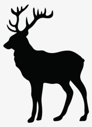 Free Png Stag Silhouette Png - Deer Silhouette Clipart #7911937