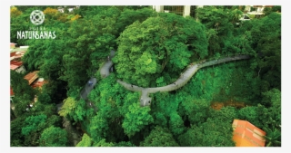 Construction Set To Begin On San José-spanning Riverwalk - Rutas Naturbanas Costa Rica #7912288