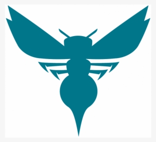 Charlotte Hornets Logos Iron On Stickers And Peel-off - Nuevo Logo Charlotte Hornets #7912343
