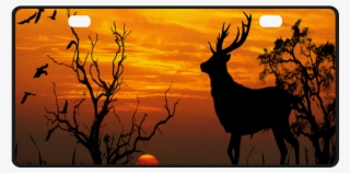 Sunset Deer #7912496
