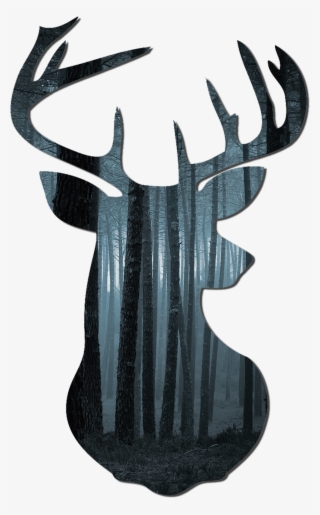 Elk #7912545