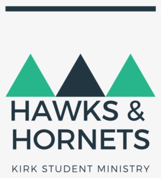 Hawks & Hornets Logo - Graphic Design #7912592