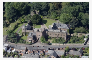 Click On A Row And Scroll To Display More Details About - Tree #7912859