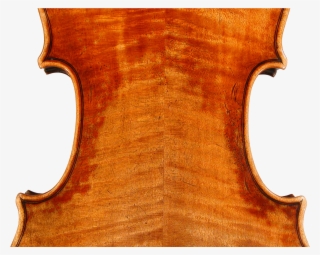 Picture Body Top Violin Picture Body Back Violin #7912934