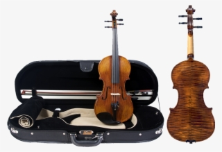 Milano Violin Outfit - Carlo Bisiach Violin #7913219