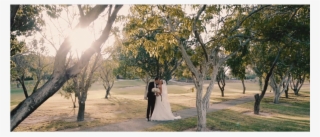 Experienced And Professional Wedding Photographers - Photograph #7913581