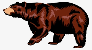 Vector Illustration Of Large Brown Bear Walking - Grizzly Bear #7914223