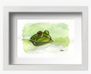 Acuarela Sapo Con Marco - Picture Frame #7915053