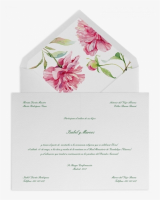 Peonias Acuarela - Gilliflower #7915546