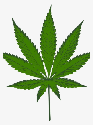 Medical Marijuana Is Legal In Arizona - Dark Green Weed Leaf #7915578