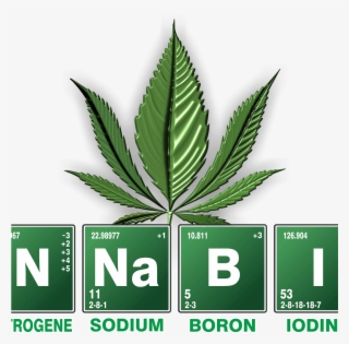 Join Sc Compassionate Care Alliance For A Fun Walk - Studies About Marijuana #7915918