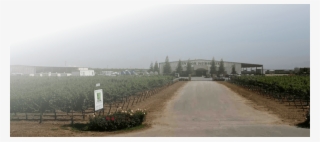 View Current Issue - Road #7916795