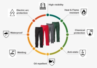 Custom Cargo Six Pocket Dickies Work Wear Pants - Investigatory Project On Aids Class 12 Biology #7916824