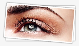 Eyelash & Eyebrow Tinting - Eyebrow Shapes #7917132