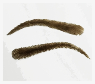 Kimk False Eyebrow - Sweet Grass #7917526