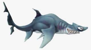 Hammerhead Shark Png #7917632