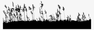 Big Image - Silhouette #7917674 Big Image - Silhouette #7917674